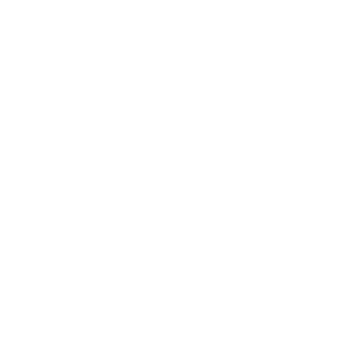 Logotipo del consorcio TPD X