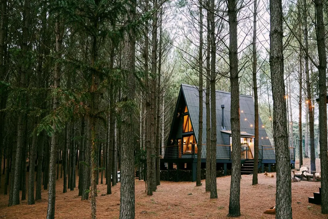 Cabaña A-frame integrada al bosque